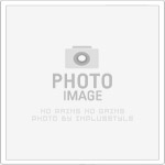 欣漢神娛樂派對人力資源公司